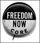Freedom Now / CORE pin